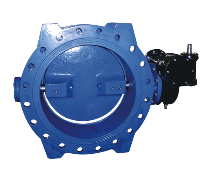 DOUBLE ECCENTRIC FLANGE BUTTERFLY VALVE